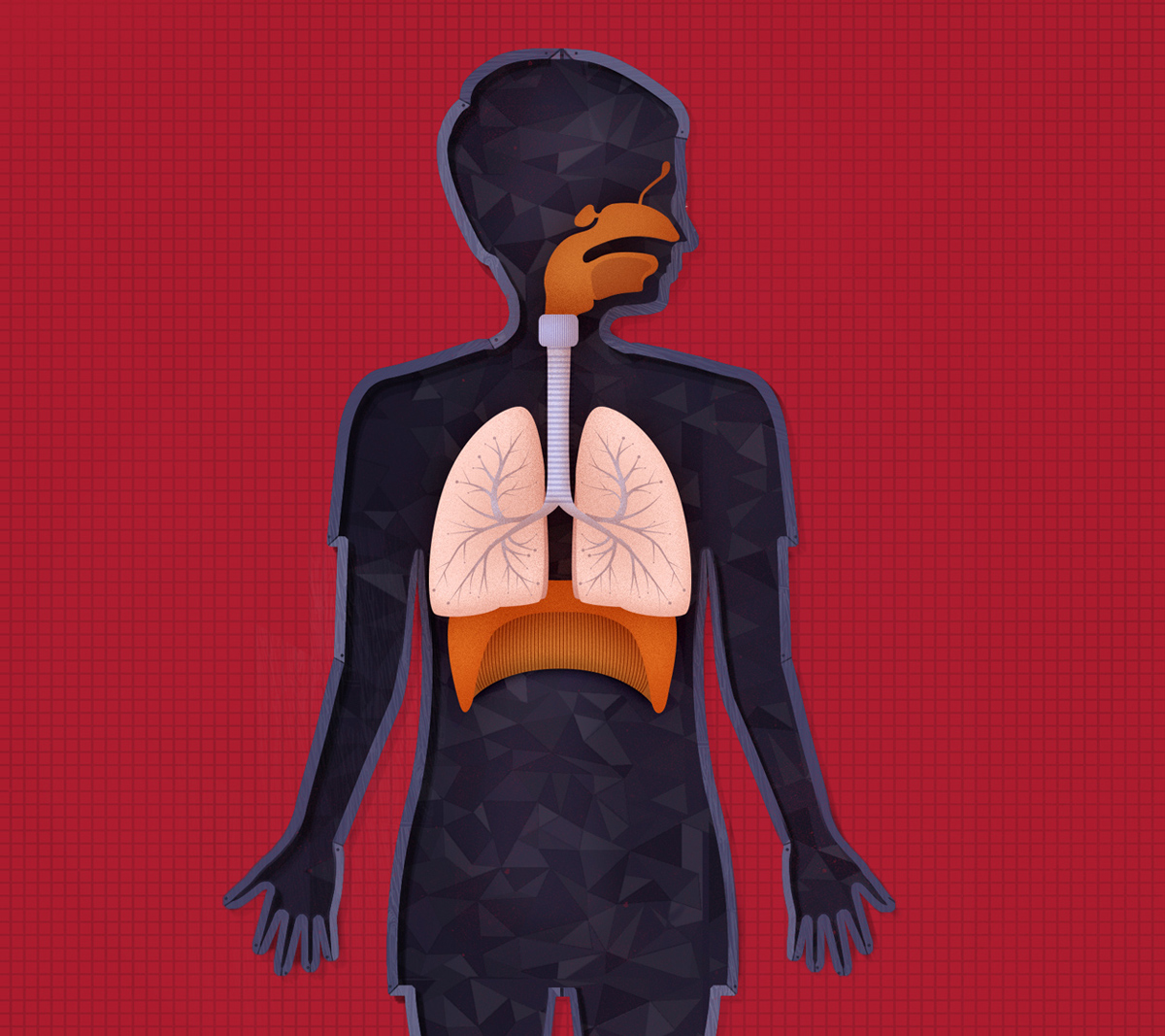 The Human Body by Tinybop on the App Store